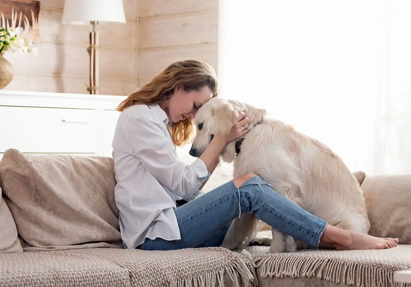 Understanding Alkaline Hydrolysis in Pet Hospice A Compressive Guide for Book Lover’s